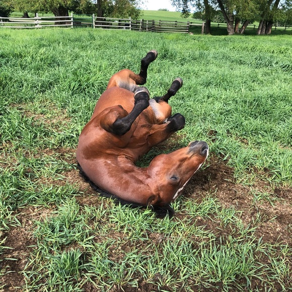 Meet your Posher, Jennifer - Picture 4 of 6